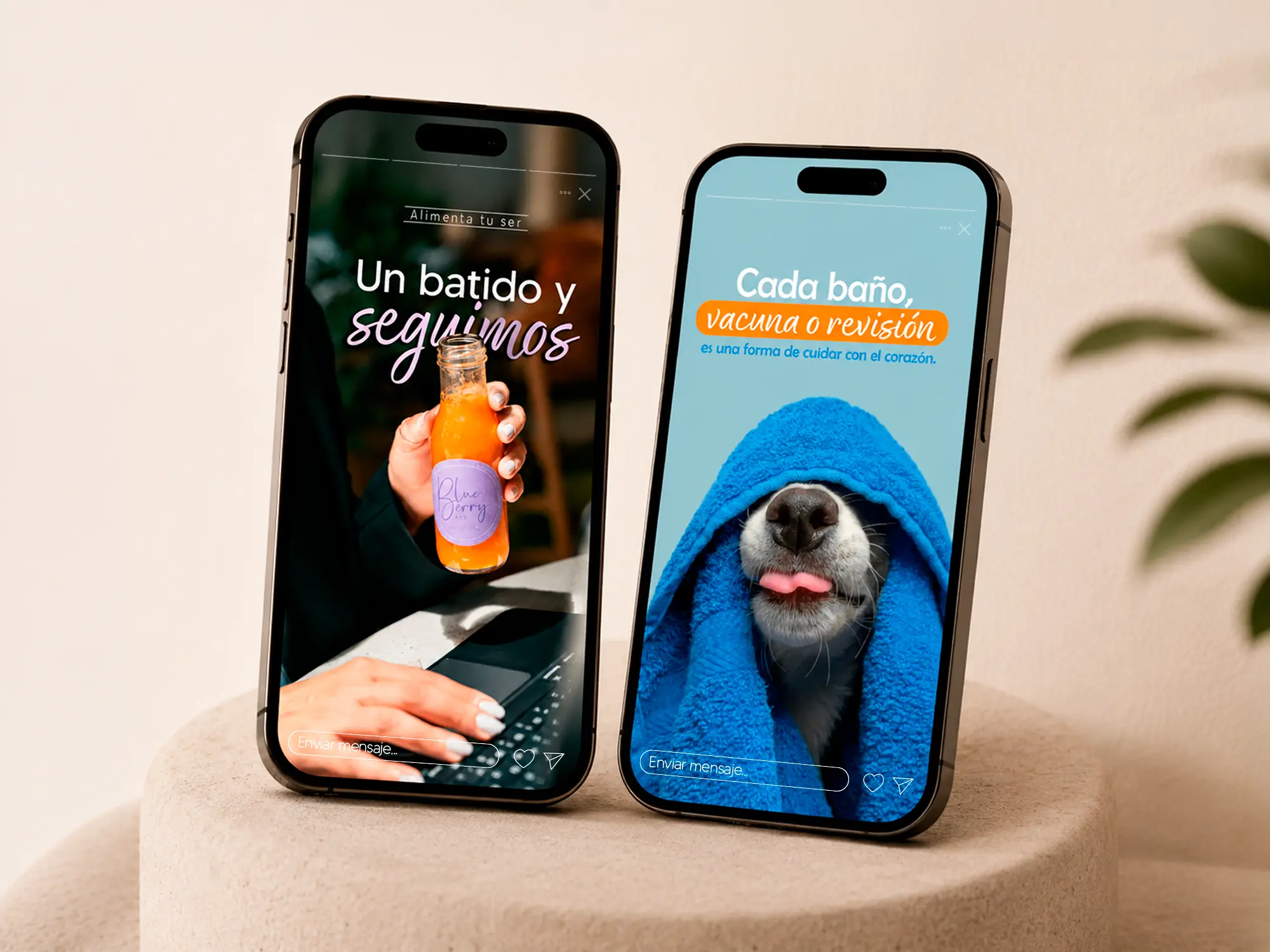Contenido de Teba Studio en pantallas de celular